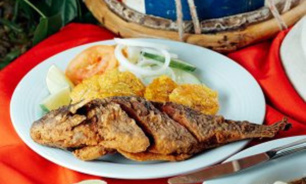 Untitled design - 2025-10-19T050540.643